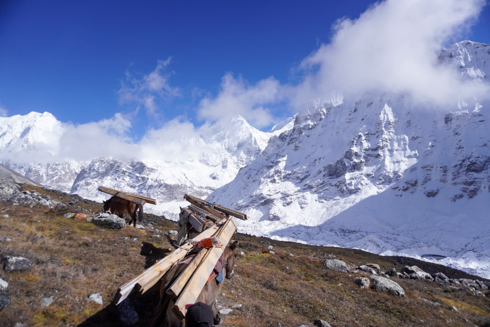Kanchenjunga Base Camp & Circuit Trek (North + South)