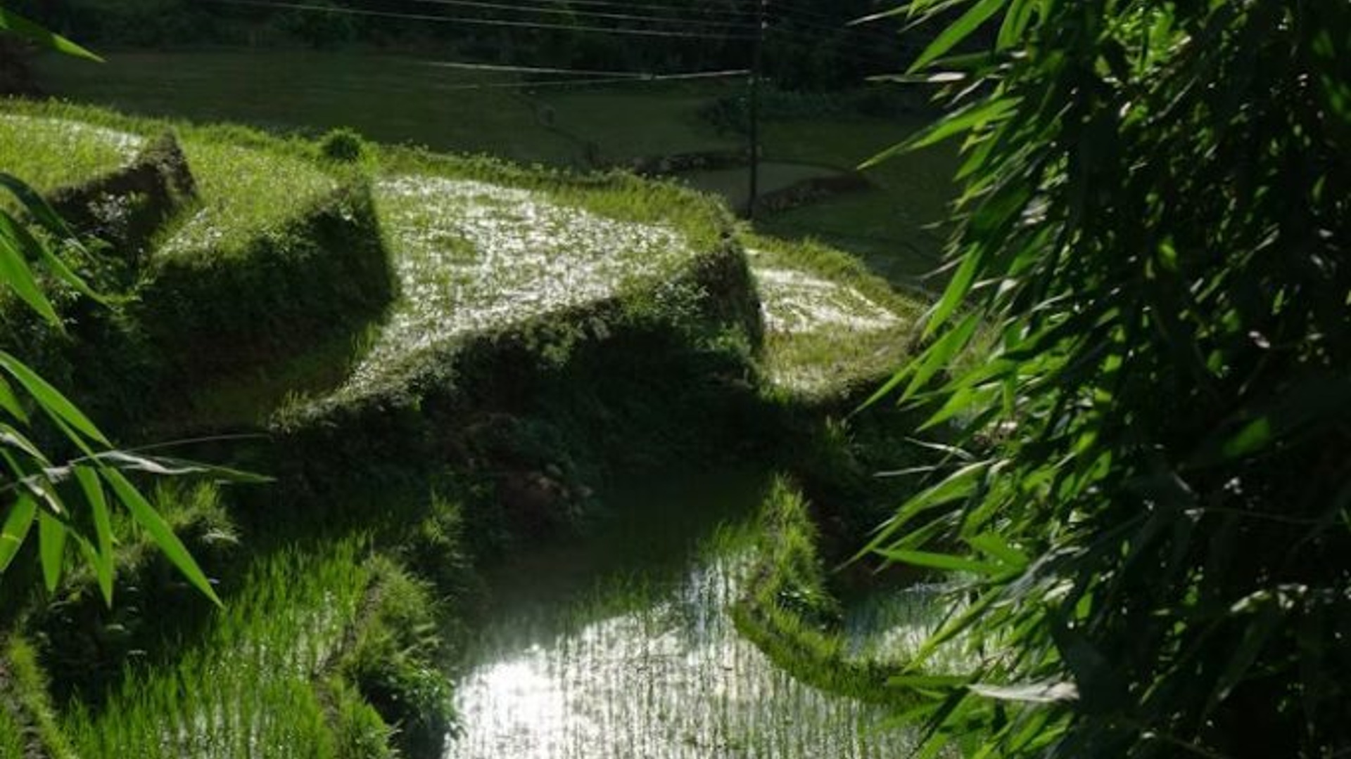 Agro-Tourism