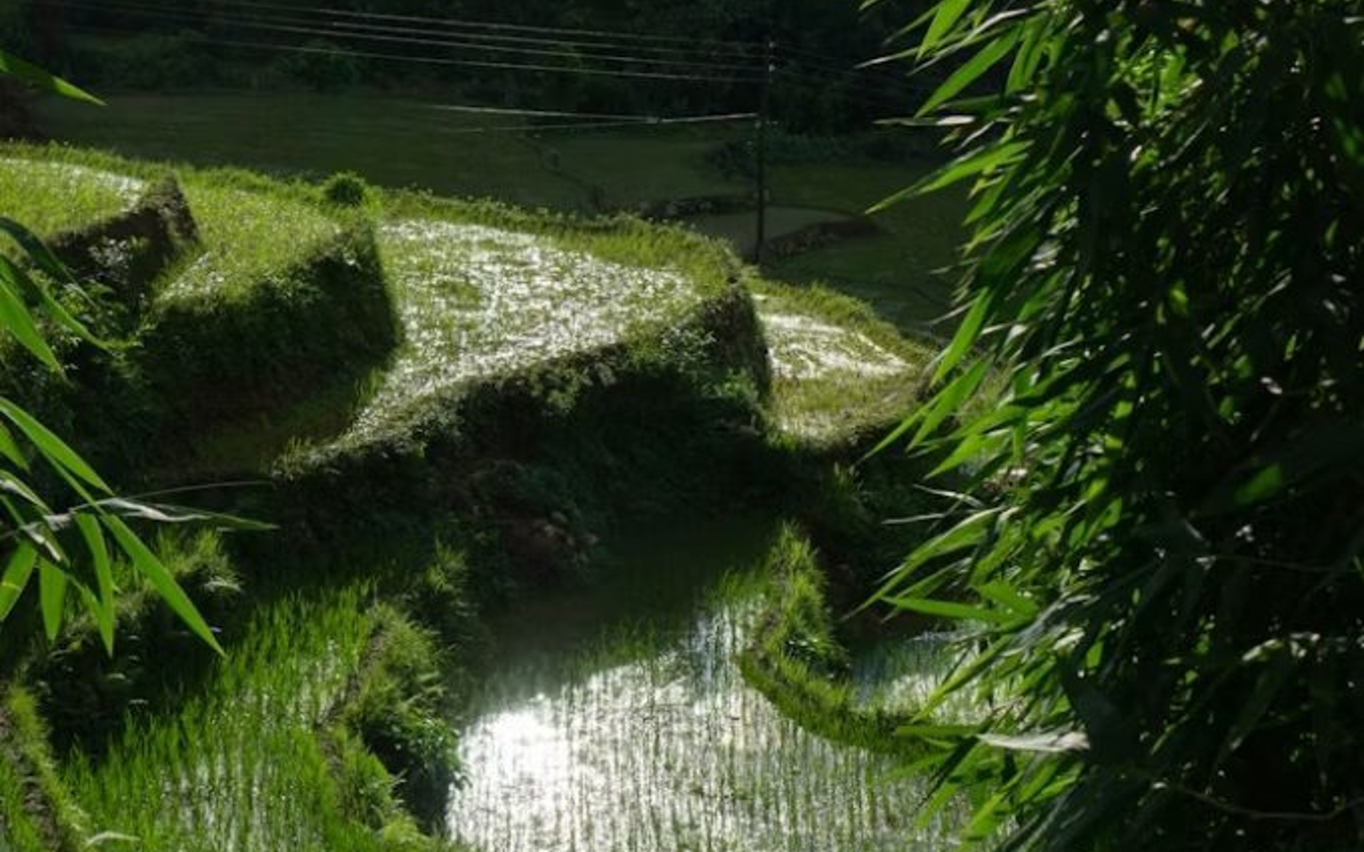 Agro-Tourism