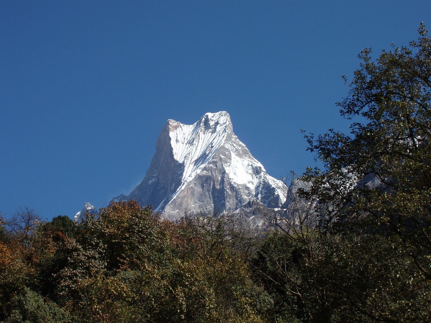 A serene view of the iconic Fishtail mountain standing tall above lush green hills under a clear blue sky.