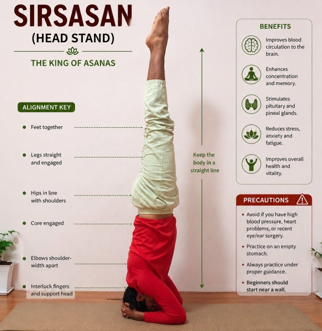 Yoga Trek