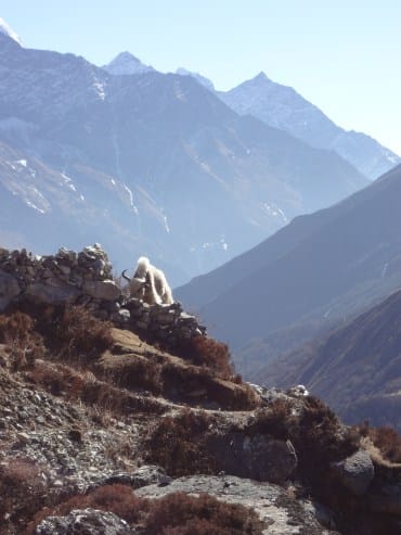Everest Gokyo Madan
