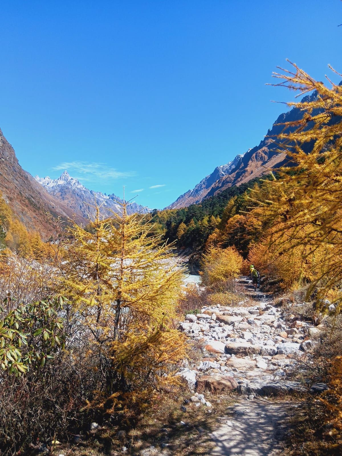 kanchenjunga