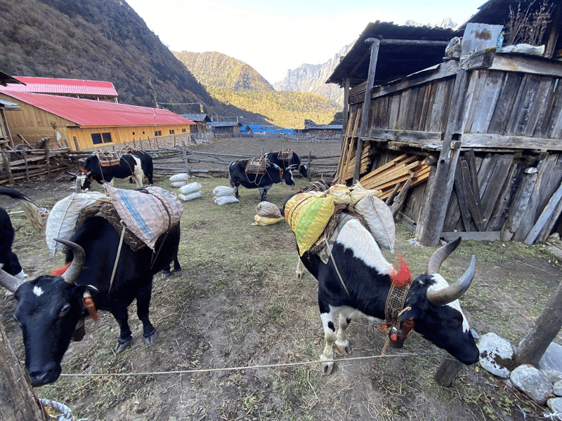 Ghunsa village