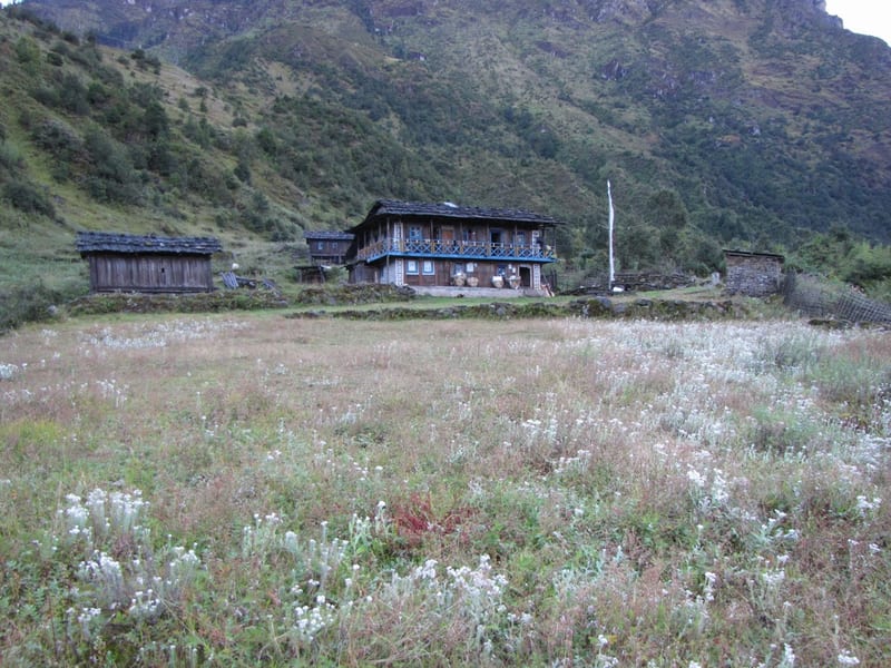 Gyabla