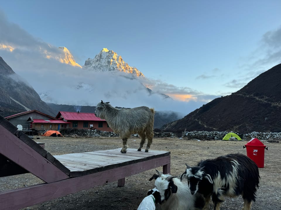 kanchenjunga region
