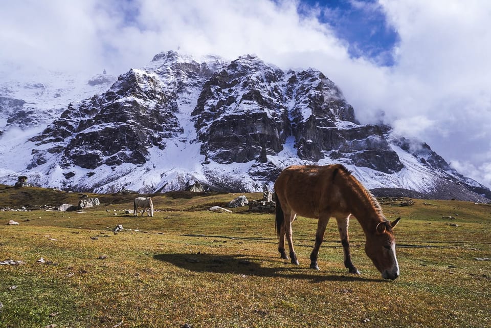 Kanchenjunga Trek Photo Oct 2026