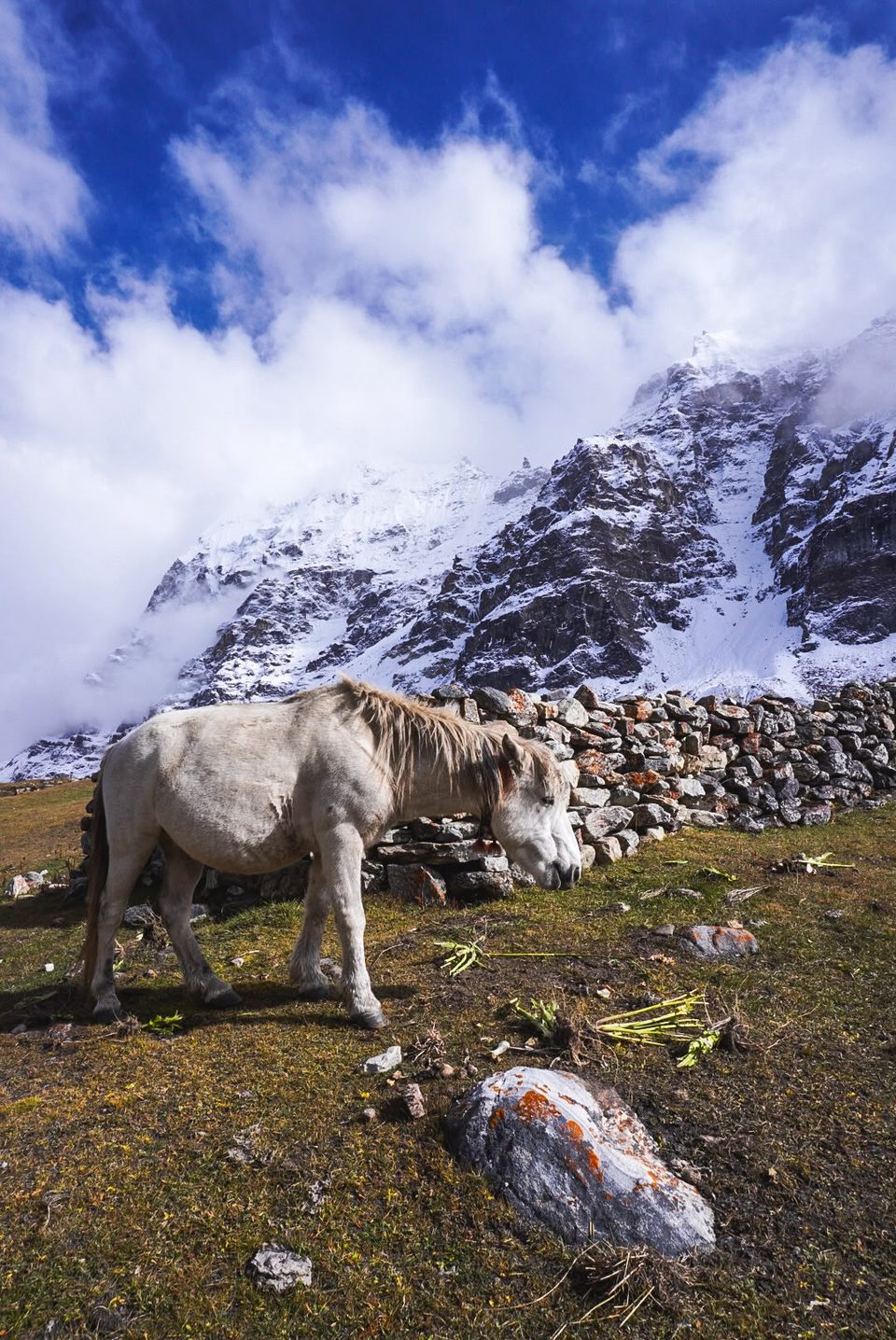 Kanchenjunga Trek Photo Oct 2026
