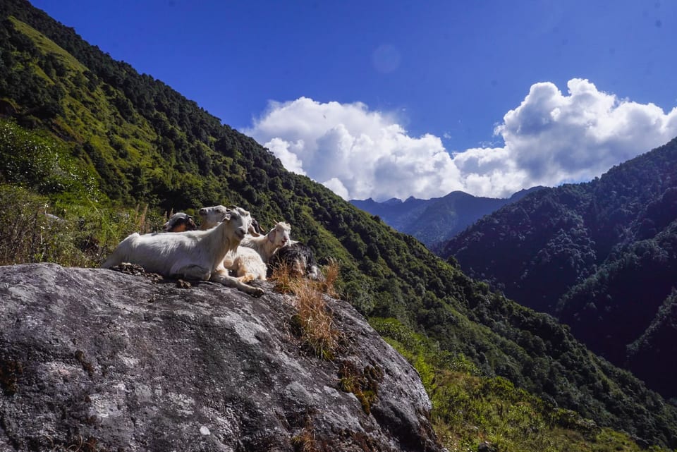 Kanchenjunga Trek Photo Oct 2026
