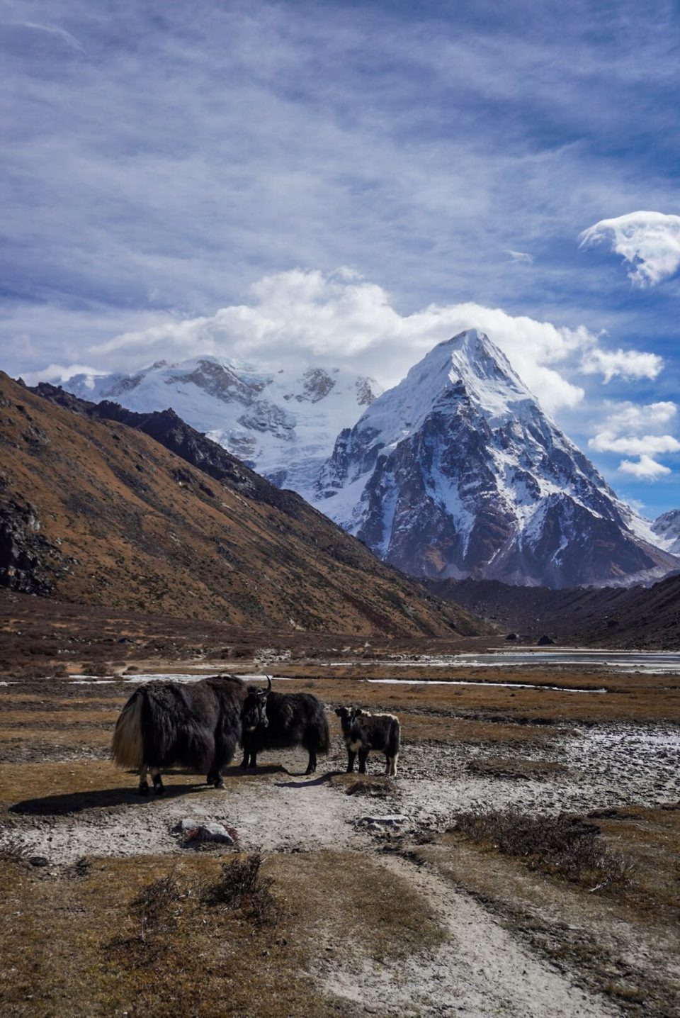 Kanchenjunga Trek Photo Oct 2026