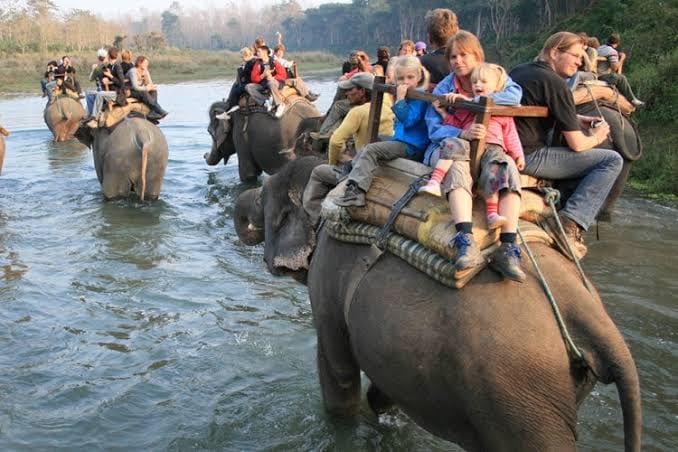 Chitwan