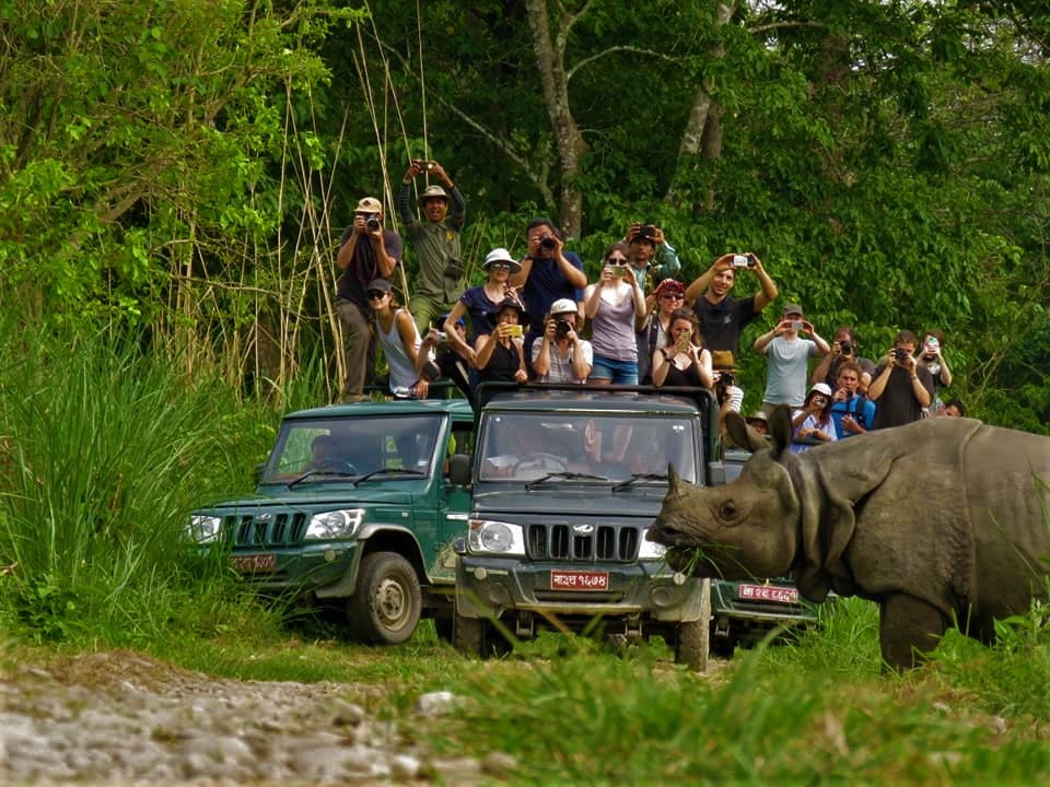 Chitwan Jungle Safari